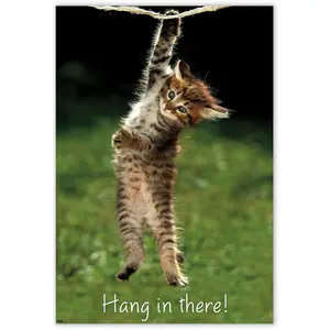Trends International Kitten Hang In There Wall Poster 22.375" x 34" Bedroom