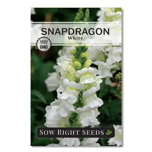 White Snapdragon Seeds White Snapdragon Seeds