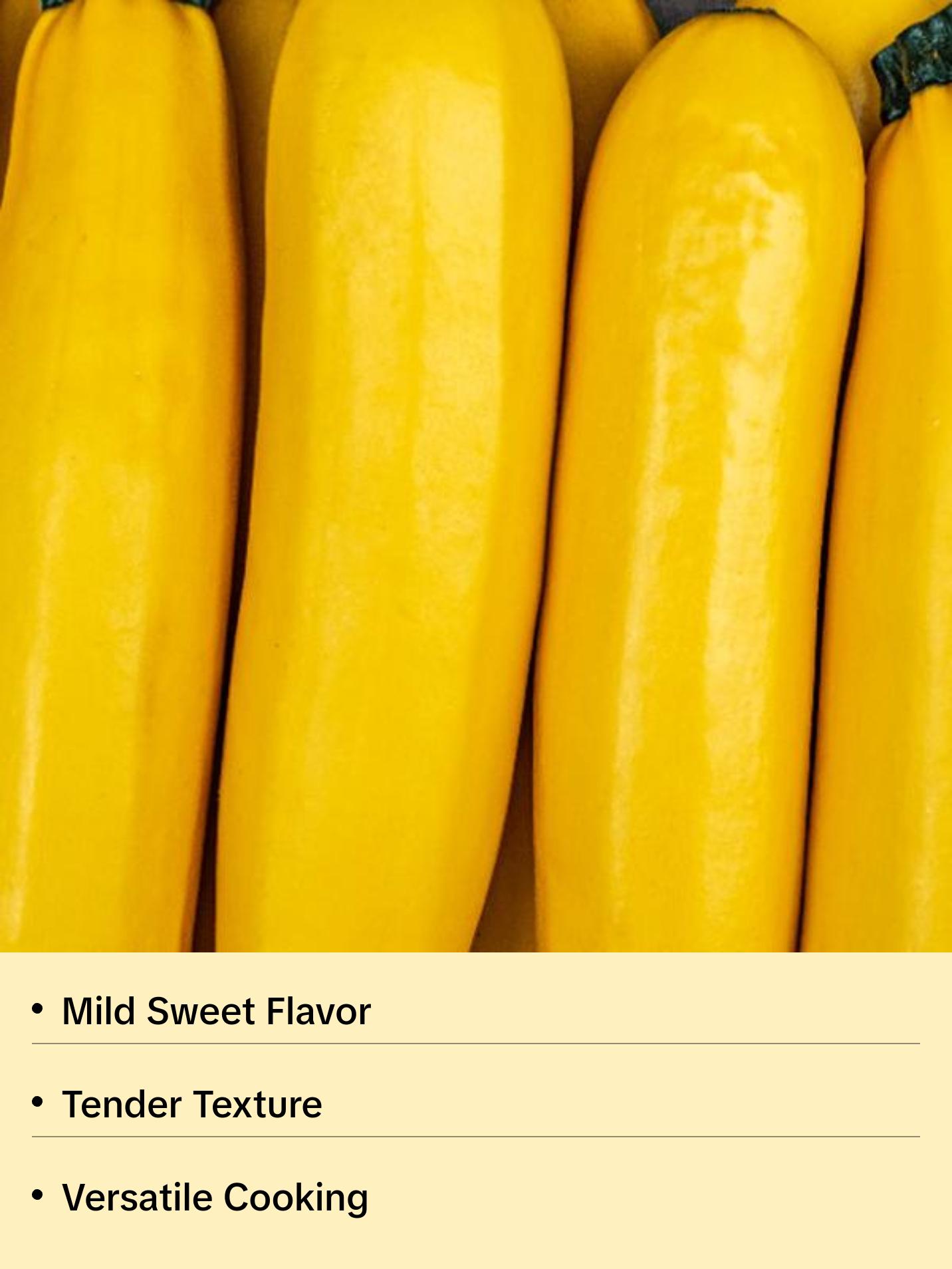 Summer Yellow Squash Seeds