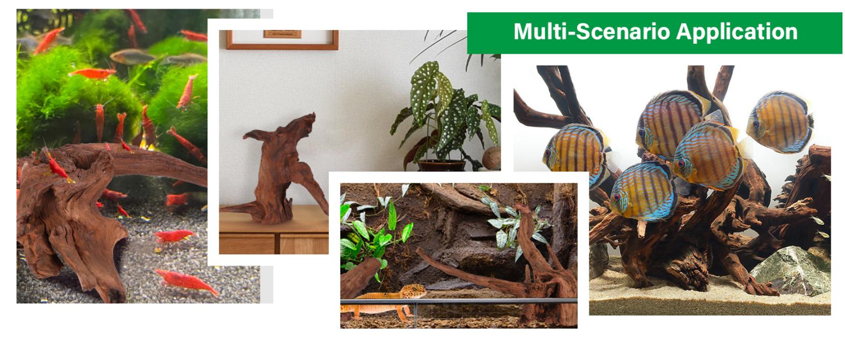 Driftwood for Aquarium Natural Aquarium Wood for Aquascaping Fish Tank Decorations Reptile Tank Decor