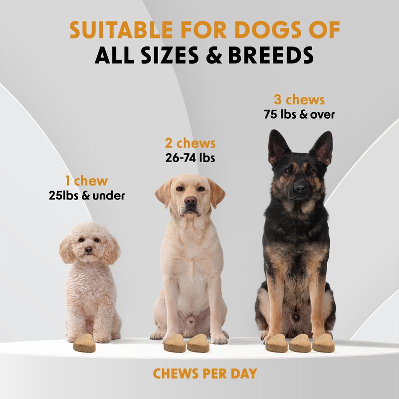 Probiotic Chews for Dogs – Gas, Bloating & Digestion Support | Dr Woow