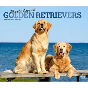 For the Love of Golden Retrievers | 2026 14 x 24 Inch (Hanging) Monthly Deluxe Wall Calendar | Foil Stamped Cover | Plastic-Free | BrownTrout | Animal Dog Breeds