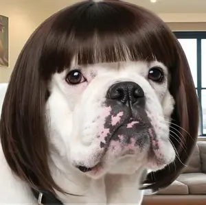[Wig for dog] Fun pet role-playing wig, suitable for dogs and cats - suitable for small/medium/large dogs and cats, adjustable strap, comfortable fiber material, perfect for Halloween, Christmas and party costumes.