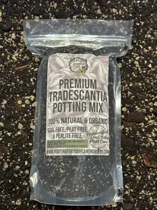 Tradescantia Premium Potting Mix