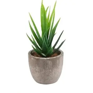 Assorted Faux Succulents Set of 3 Artificial Potted Plants Fake Cactus Aloe, Realistic Looking Decor Decorative