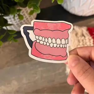 Dental Waterproof Sticker Typodont | Dentist Office Room Decor | Decorative Sticker Pack | Dental Prop | Ornaments