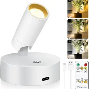 USB Rechargeable LED Spotlight, Color Changing LED Light with Remote Control, Indoor Lighting for Mural, Art, Plants, Hallway, Kitchen