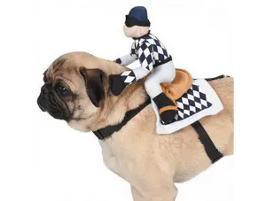 🐶🏇 Zack & Zoey Champion Jockey Saddle Dog Costume 🏆
