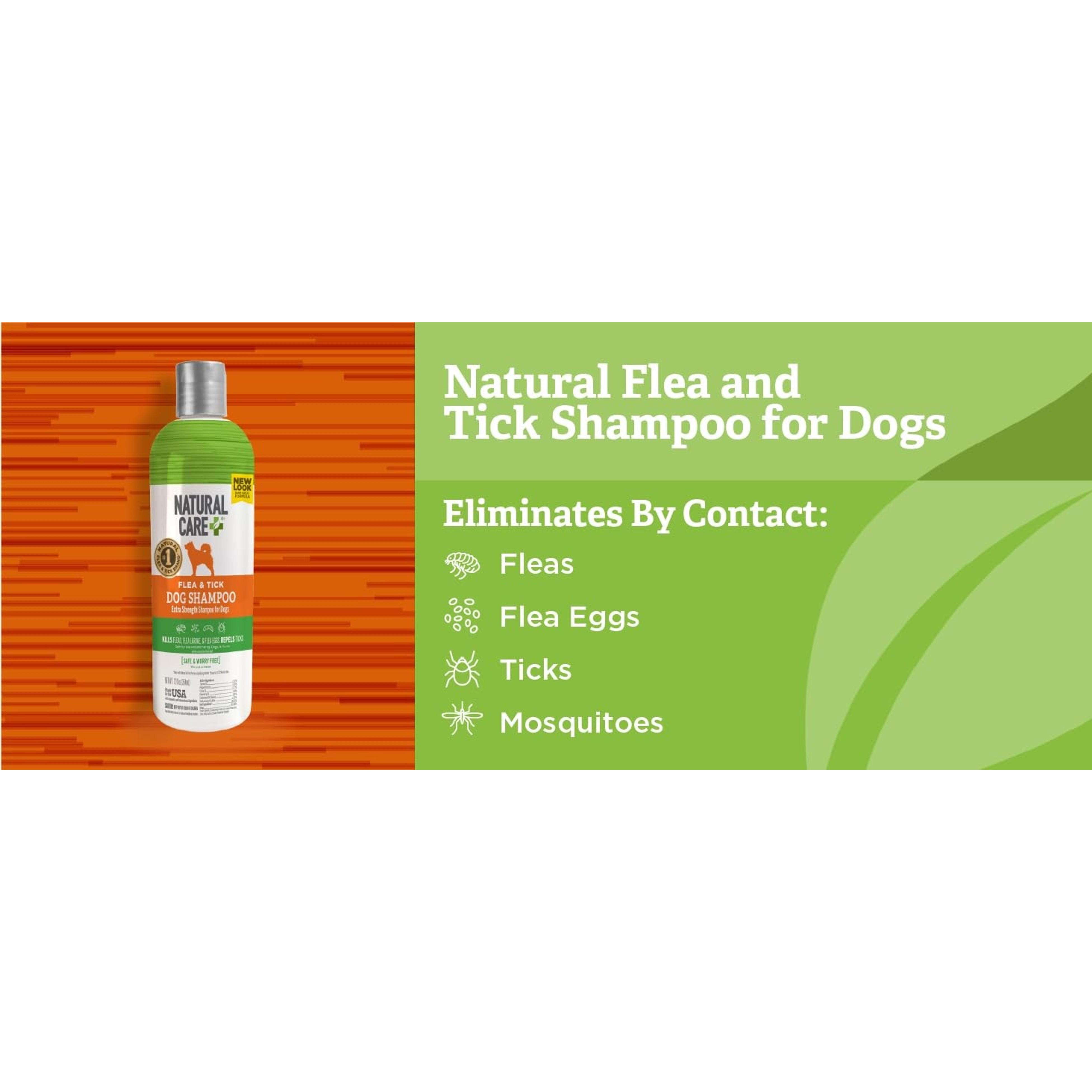 Flea & Tick Carpet Powder, 8.1oz – Carpet, Rug & Pet Bedding Treatment for Flea Prevention, Tick Control, Home Pest Control & Carpet Freshener, Easy ApplicationGift Flea & Tick Carpet Powder, 8.1oz – Carpet, Rug & Pet Bedding Treatment for Flea Prevention, Tick Control, Home Pest Control & Carpet Freshener, Easy ApplicationGift