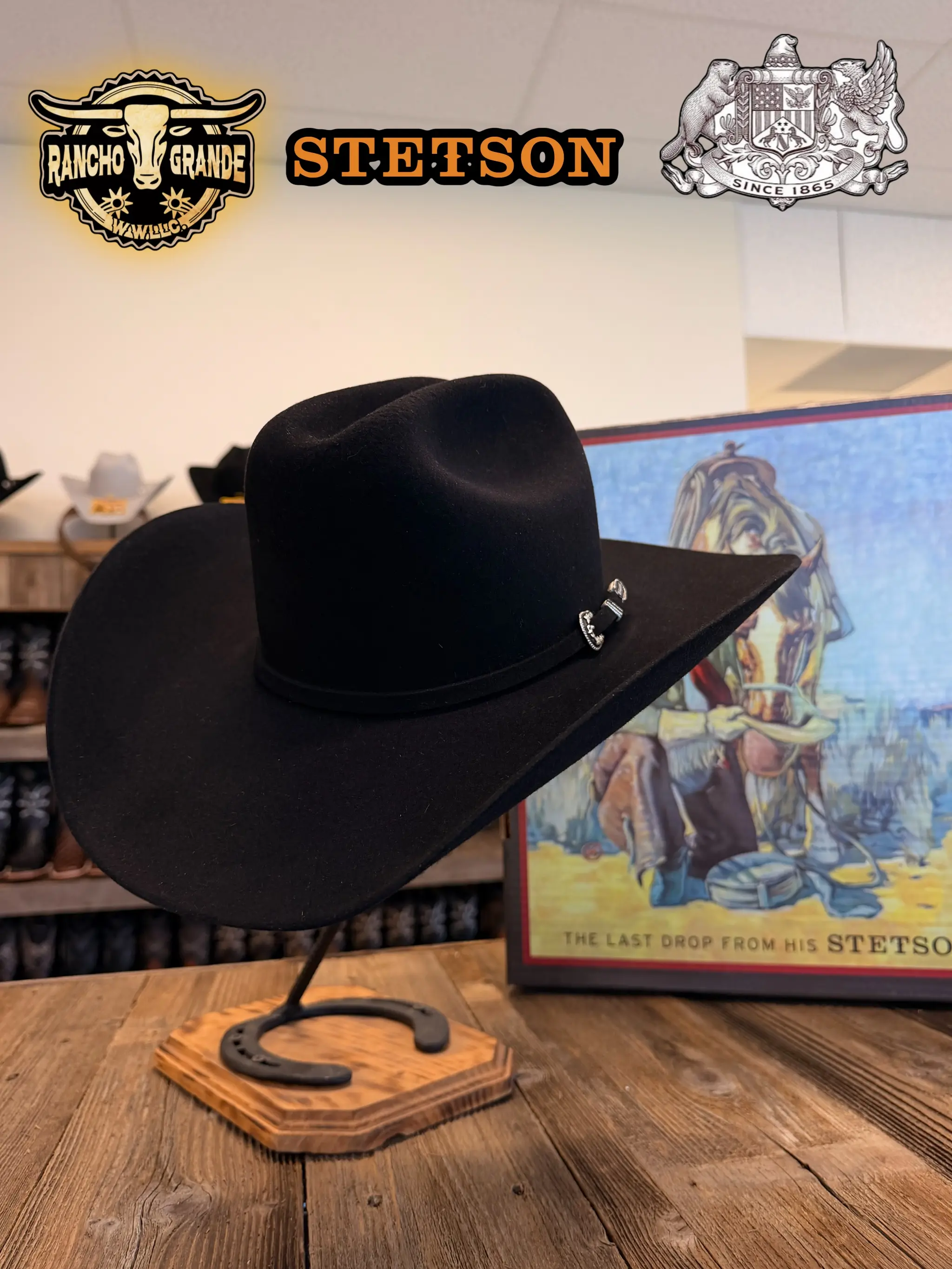 ORIGINAL 6X STETSON HAT SKYLINE / TEJANA 6X STETSON