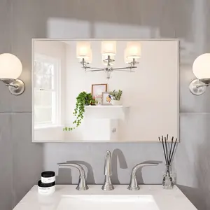 Eviva Sax 24" x 30" Rectangular Brushed Nickel Metal Framed Mirror