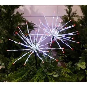 Martha Stewart S/2 Firecracker Burst Lights with Remote