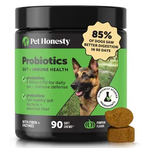 Gut + Immune Health Digestive Probiotic Chews for Dogs (Pumpkin Flavor)
