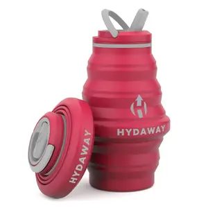 Collapsible Water Bottle | 17oz