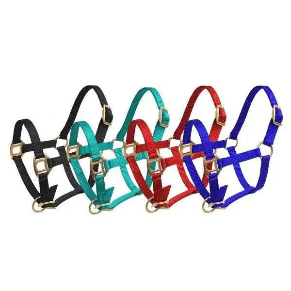 Foal/Mini Size Premium nylon halter with brass hardware. Foal/Mini Size Premium nylon halter with brass hardware.