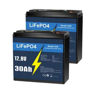 12V 30Ah LiFePO4 deep cycle rechargeable lithium battery, lifespan over 5000 times, built-in BMS, backup power ideal for off-grid home energy storage - Core Series,Maintenance Free