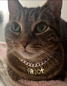 Pet Collar - FRICK - silver chain with gold letter - custom length - breakaway safety clasp