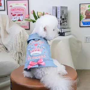 Princess Pattern Denim Jacket, Cute Pet Clothes for Small Dogs, Pet Clothes for Daily Wear, Dog & Cat Clothing