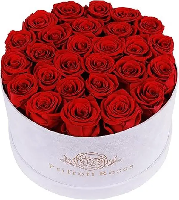 27 Roses in a Luxury Suede Box, Mother Day Flowers Gifts for Mom, Preserved Flowers for Her, Birthday Gifts for Women, Red