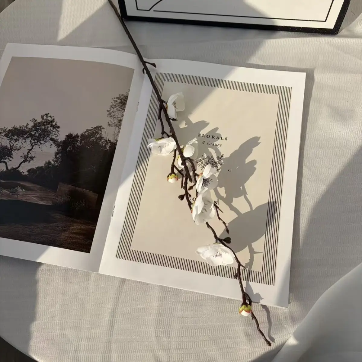 White Plum Blossom of Wish