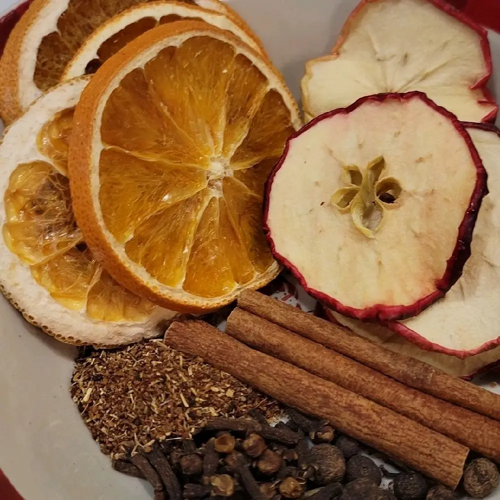 Fall Simmer Pot Kits - Fall Collection Aromatherapy Scent Diffuser with Apple Fragrance for Home Air Freshener & Relaxation - Includes Oranges Lemons Cinnamon Sticks Cloves Star of Anise