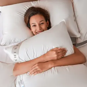 baisihan Premium Goose Down Pillows Standard/Queen/King - 700+ Fill Power, 100% Cotton 500 TC Cover Down Pillow