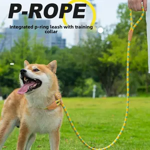 High-Density Nylon Dog Leash for Medium & Large Dogs - Heavy Duty P-Chain Rope for Walking, Durable No-Slip Handle Collar for Pet Training, Reflective Pet Leash for Outdoor Control