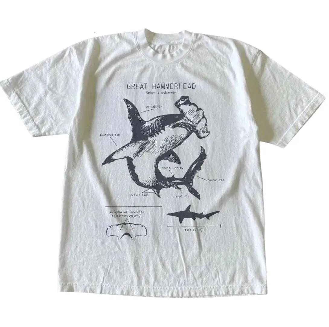 Hammerhead Shark Scientific Illustration Graphic Tee Retro Cream T-Shirt