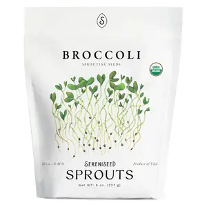 Organic Broccoli Sprout Seeds (8 oz) – Non-GMO, Heirloom Seeds for Sprouting and Microgreens