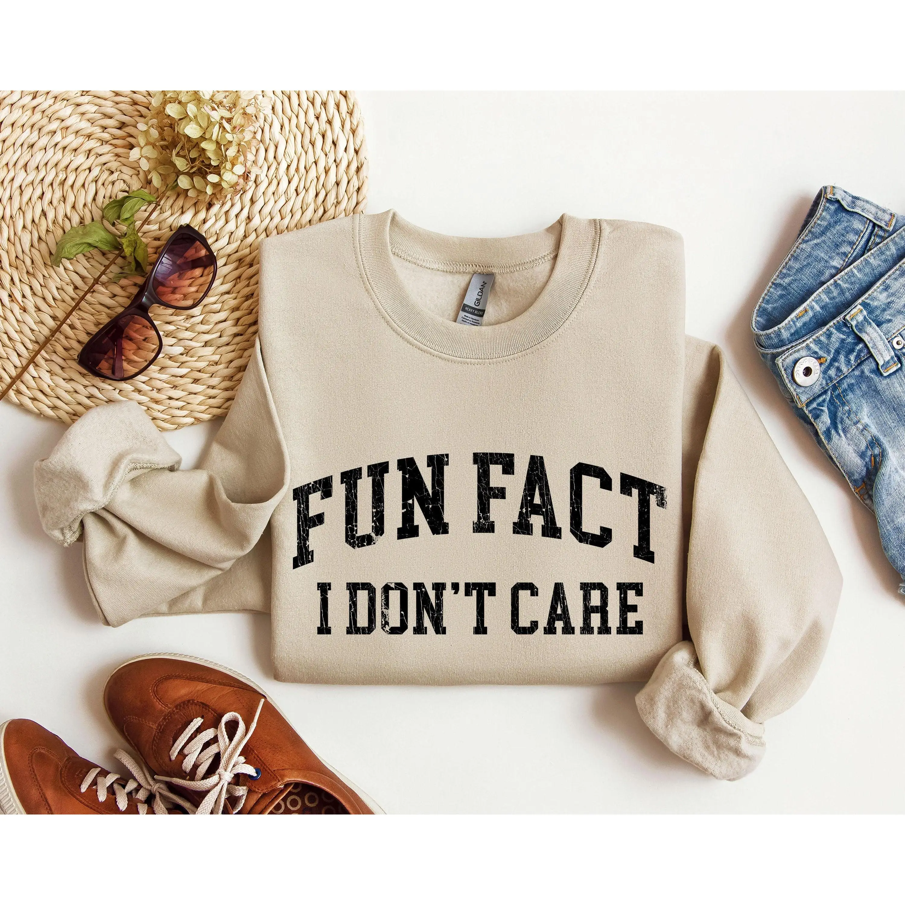 Fun Fact I Don't Care Funny Sweatshirt, Sarcastic College Sweatshirt, Women's Crew Neck, Crewneck