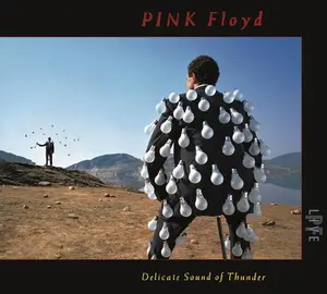 Pink Floyd - Delicate Sound Of Thunder (Live)                                        [COMPACT DISC - CD] Digipack Packaging