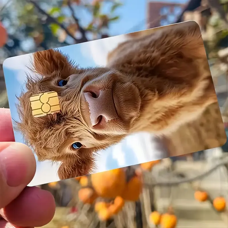 Cute Highland Cow Credit Card Skin, Waterproof Debit Card Sticker Cover, Scratch Resistant Vinyl Wallet Wrap, Farm Animal Art Design