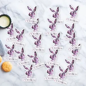 Stickers Pack 20 Pcs Playboy Bottle Laptop Bunny Colorful Car Water Bike Vinyl Waterproof Bumper Skateboard Guitar Aesthetic Luggage