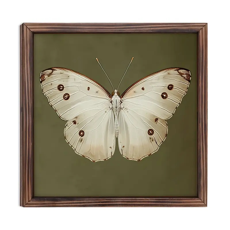 Vintage Butterfly Pattern Wooden Wall Decoration, Rustic Wooden Framed Sign, Wall Decor for Bathroom, Bedroom, Office & Farmhouse, Ornaments, Artistic