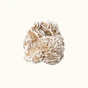 Desert Rose Selenite