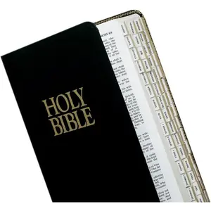 Mini Gold-Edged Bible Indexing Tabs, Old & New Testament, 80 Tabs Including 64 Books & 16 Re