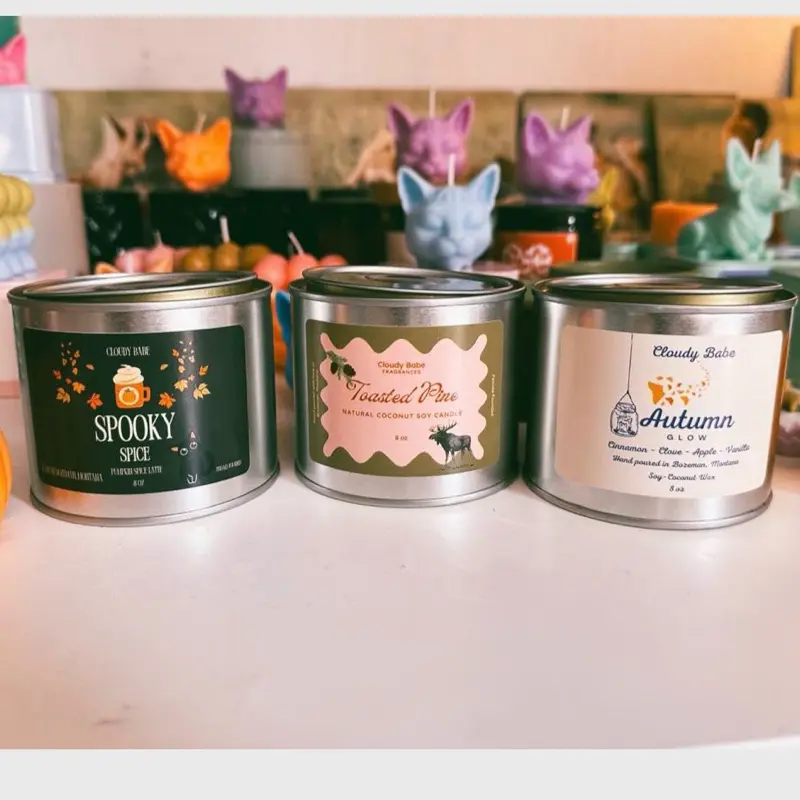 Cloudy Babe Fall Candle Three Pack - Spooky Spice, Toasted Pine, Autumn Glow Scented Candles in Tin Containers