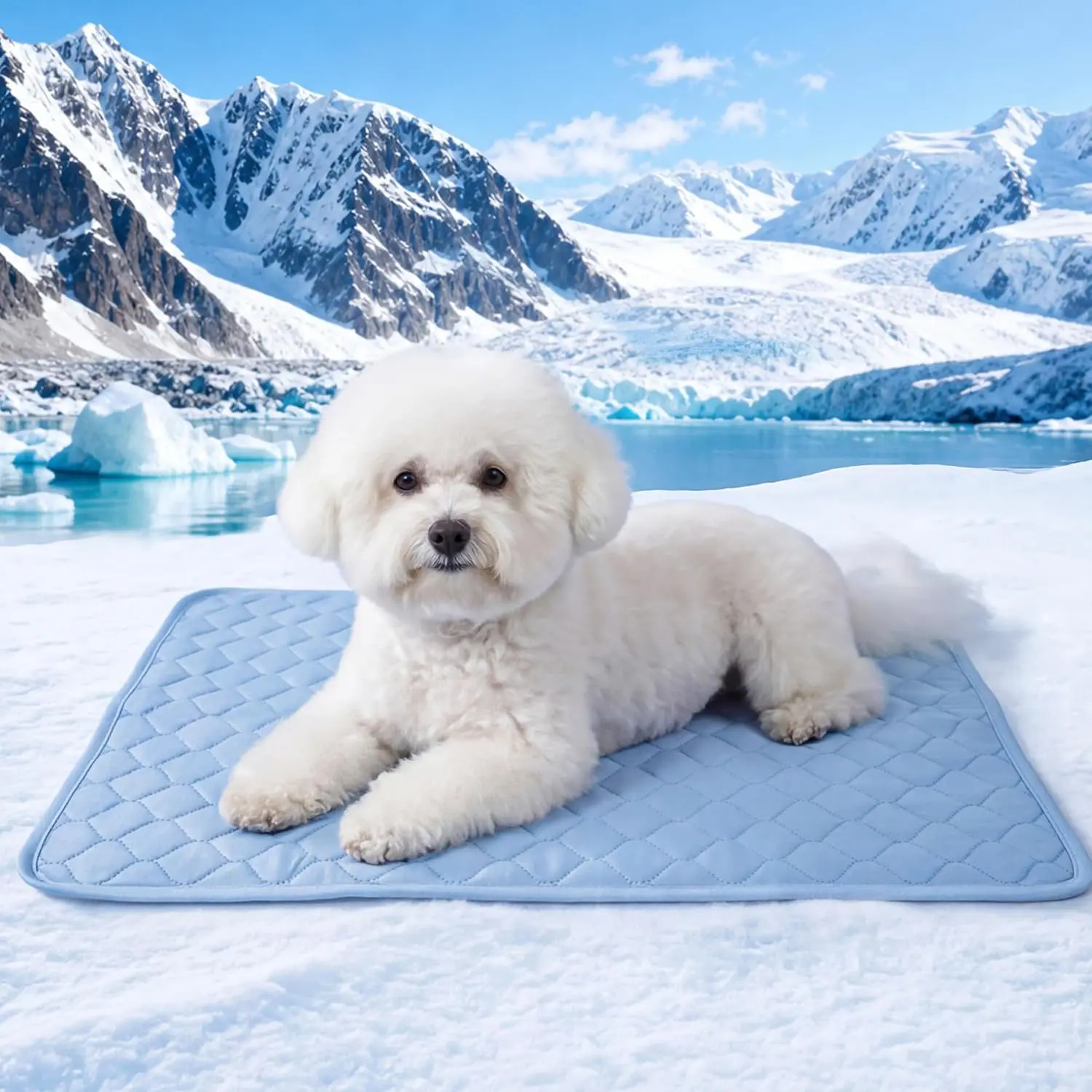 PatiencET Dog Cooling Mat - 22x28 in No-Gel, No-Freezing Cool-Touch Nylon Mat for Small Dogs (Yorkie), Machine Washable, Ideal for Crate, Travel, Car
