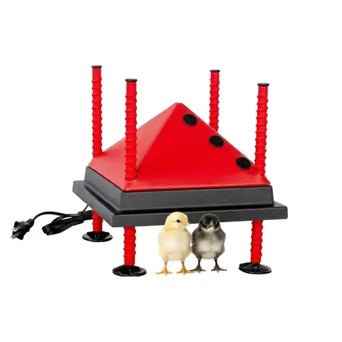 RentACoop 10x10” Adjustable Heating Plate with Bonus Foldable Anti-Roost Cone for up to 15 Chicks