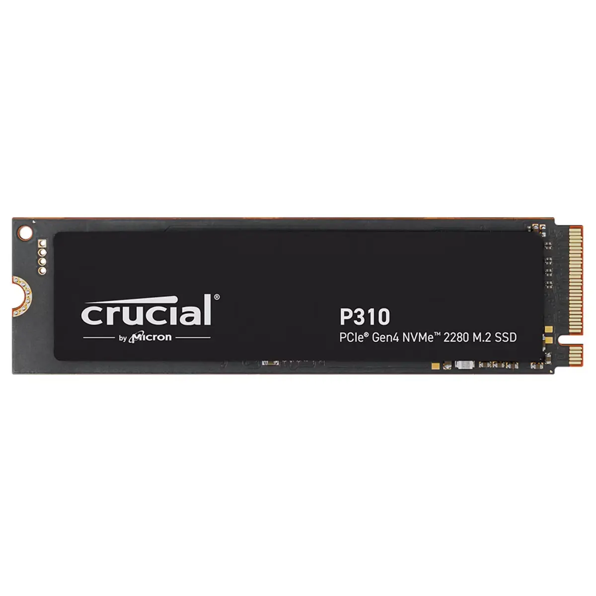 P310 M.2 2280 2TB PCI-Express 4.0 x4 NVMe 3D NAND Internal Solid State Drive (SSD) CT2000P310SSD8