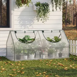 Bamworld 71"Lx36"Wx34"H Portable Quick-Setup Mini Outdoor Greenhouse with Zippered Doors, Roll-up Windows, Waterproof UV-Protected PE Cover for Garden Plants