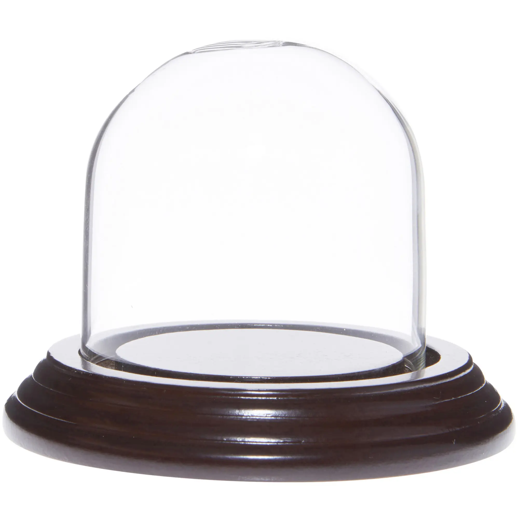 Plymor 2.5" x 2.5" Small Glass Display Dome Cloche