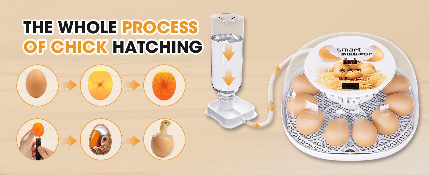 12 Egg Incubator with Automatic Turning and Temperature Control, Automatic Water Adding, LED Egg Candler, for Hatching Chickens, Duck, Quail, Goose Eggs