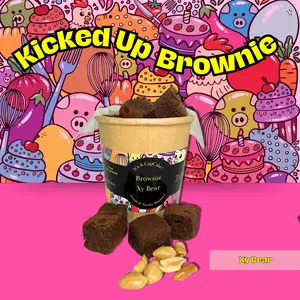 Kicked Up Brownie in Xy Bear