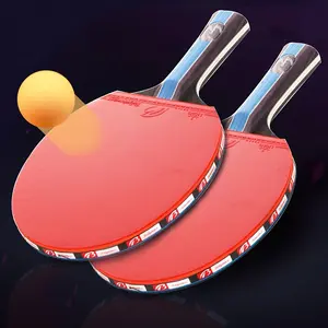 Complete Table Tennis Set - Includes 3 Balls, 2 Paddles, Net & Post - For Beginners & Enthusiasts - Perfect for Indoor & Outdoor Play - Great Gift for Sports Lovers