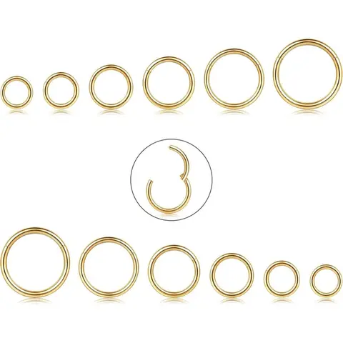 6Pairs  6-16mm Stainless Steel Cartilage Hoop Earrings for Women Girls Hypoallergenic Nose Ring Helix Lobes Hinged Sleeper Earrings Piercing Jewelry 16G Set