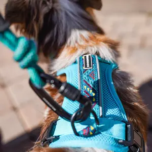 Wilderdog Dog Harness