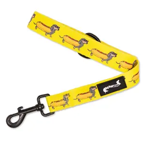 Hot Dog Dachshund Leash - 60" Length, 1" Width, Padded Neoprene Handle, D-Ring for Waste Bags