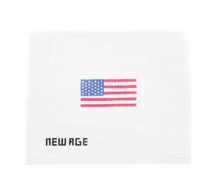 Mini American Flag Canvas