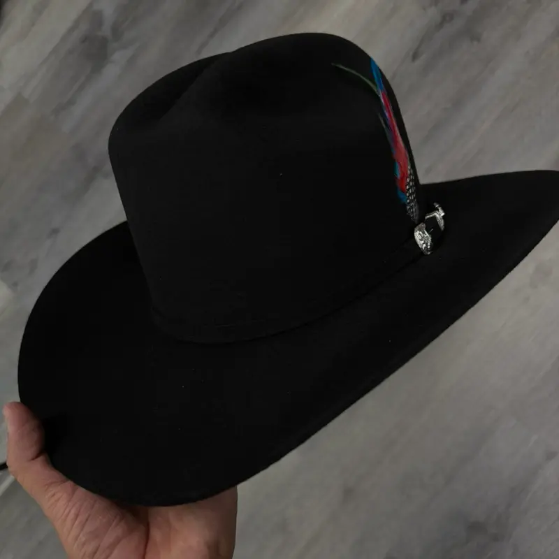 TEJANA WESTERN 100x